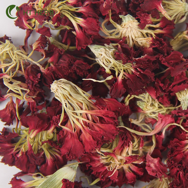 Hotselling Dried Carnation (Unhulled) Flower Kang Xian Hua Dried Flower Tea