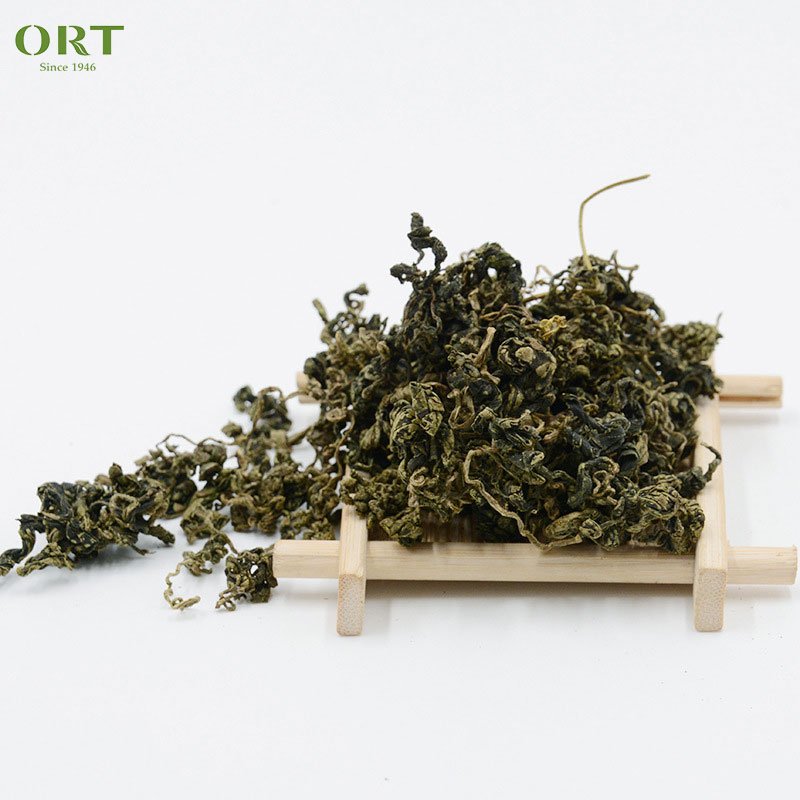 Wholesale price Gynostemma pentaphyllum wild high-quality herbal plant