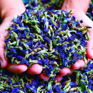 Supply High Quality Water Soluble Dried Pure Blue Matcha Organic Nature Bule Butterfly Pea Tea Flower Powder
