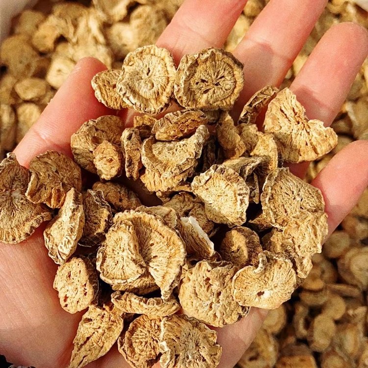NIU BANG GEN Natural raw dried arctium lappa Chinese herbal dried burdock root slices slimming tea