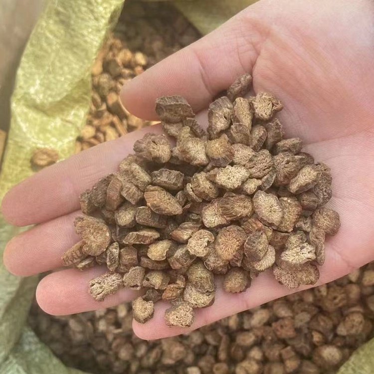 NIU BANG GEN Natural raw dried arctium lappa Chinese herbal dried burdock root slices slimming tea