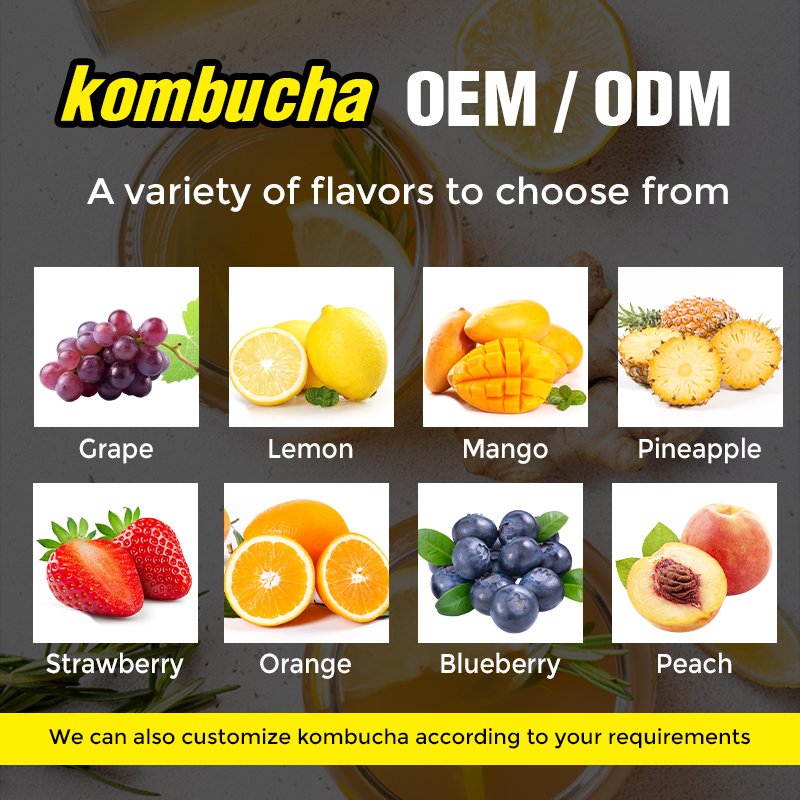 private label Hydration Drink Mix Sugar Free Live Probiotics Prebiotics Lemon Kombucha Tea