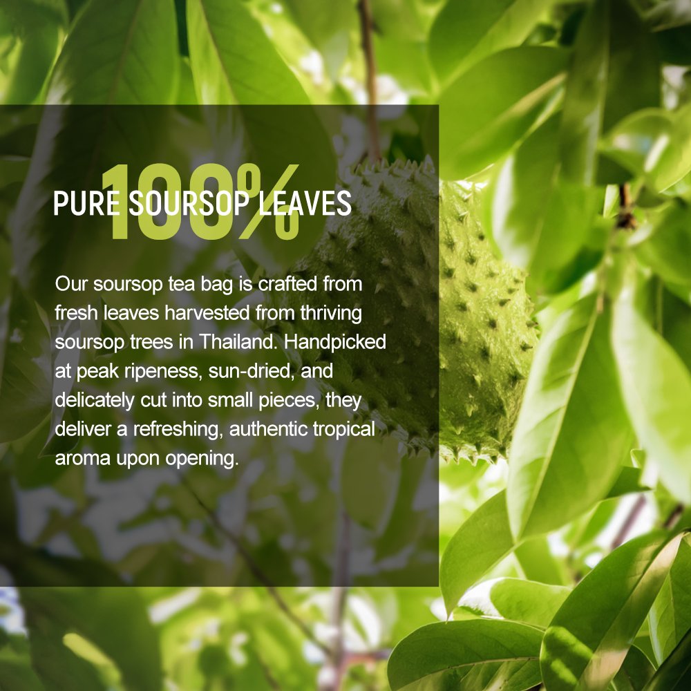 Chinaherbs Natural Organic Graviola Leaves Tea Trending Products Private Label Soursop Leaves Tea