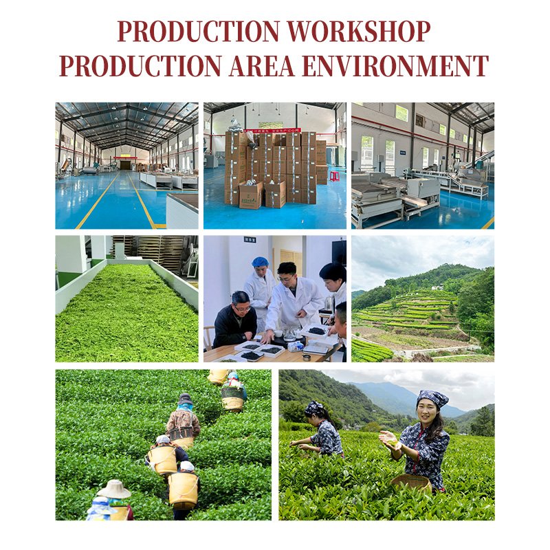 china slim private label foods from wholesale Chinese Green Tea West Lake slimming tea flat tummy tea