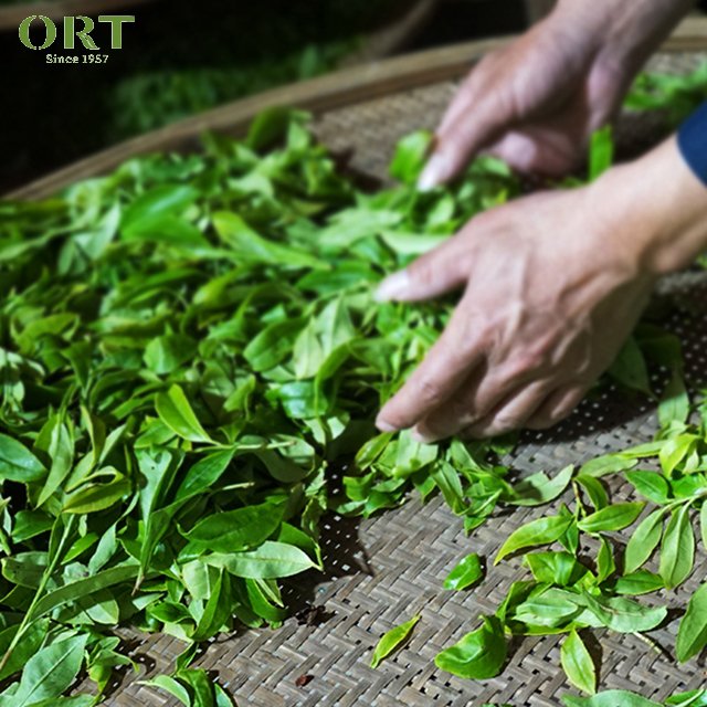 Organic Oolong Tea Phoenix Dancong Tea