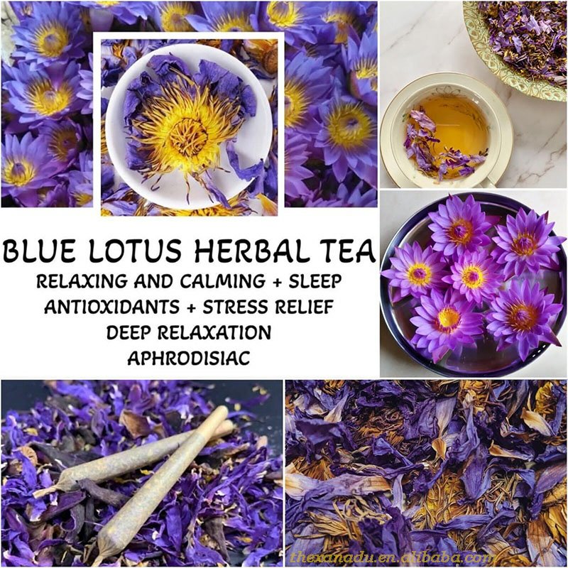 Egyptian Blue Lotus Organic Nymphaea Caerulea | Aphrodisiac Herb For Smoking Pre Roll | Holistic Wellness Flower Tea