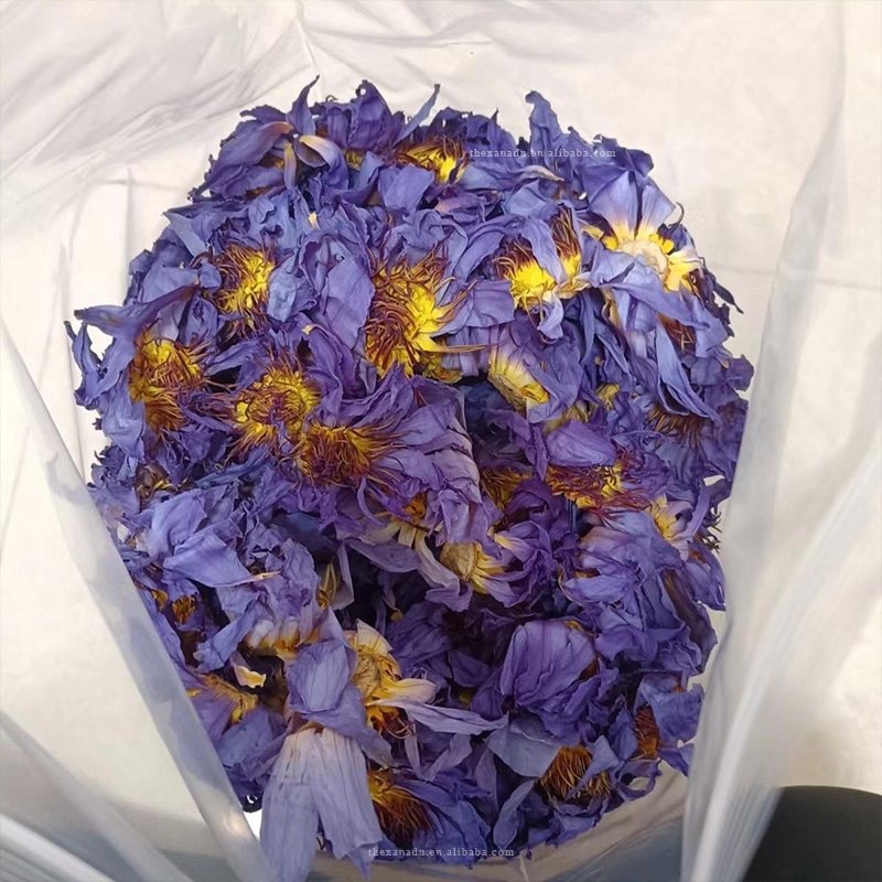 Egyptian Blue Lotus Organic Nymphaea Caerulea | Aphrodisiac Herb For Smoking Pre Roll | Holistic Wellness Flower Tea