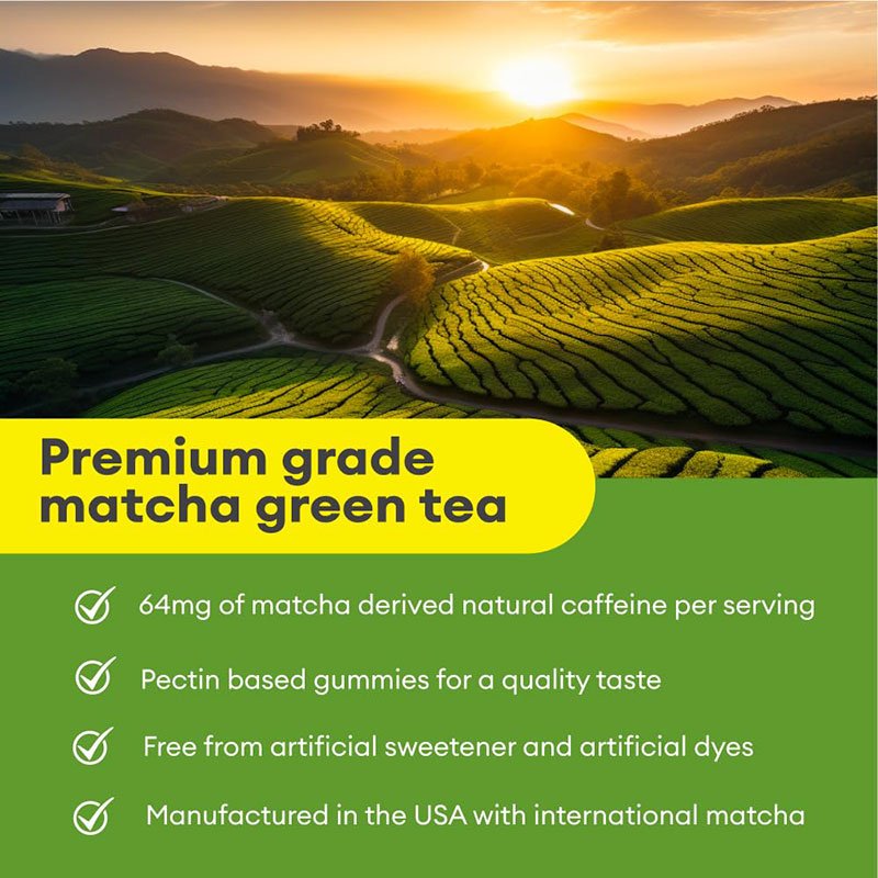 OEM Matcha Green Tea Weight Loss Gummies Detox And Debloat Matcha Green Tea Extract Gummy For Women