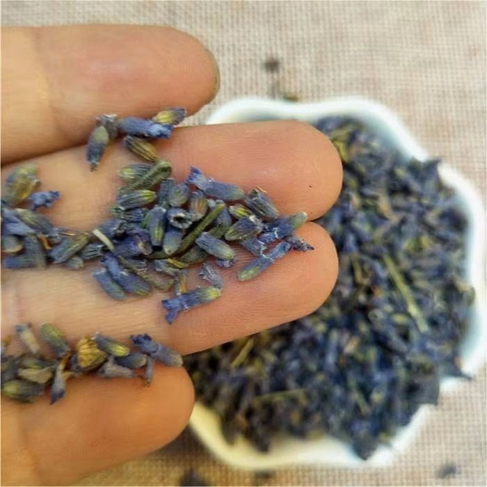 Xun Yi Cao Wholesale Natural Organic Purple Bulk Dried Lavender Flowers Lavender Tea