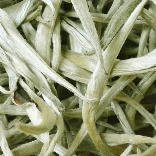 Free sample Support Pure White Tea Chinese Special Classic Yunan Silver Needle Tea white tea