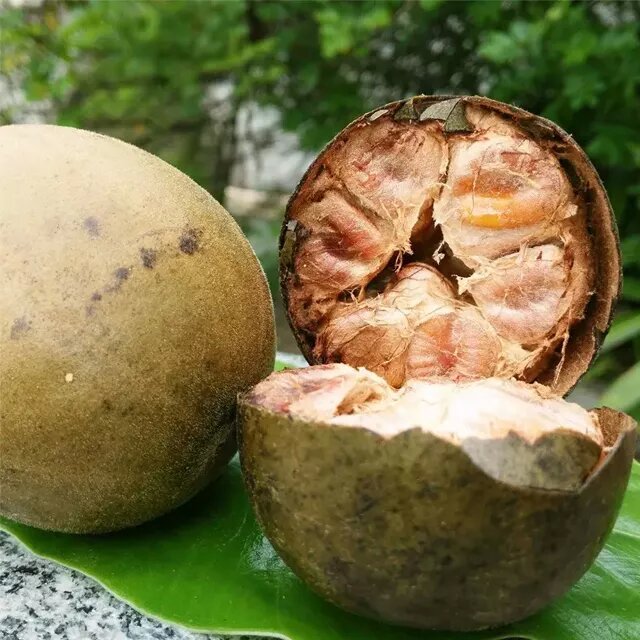 Bulk Chinese Luo Han Guo Fructus Momordicae Tea Natural Momordica Grosvenori Herbs
