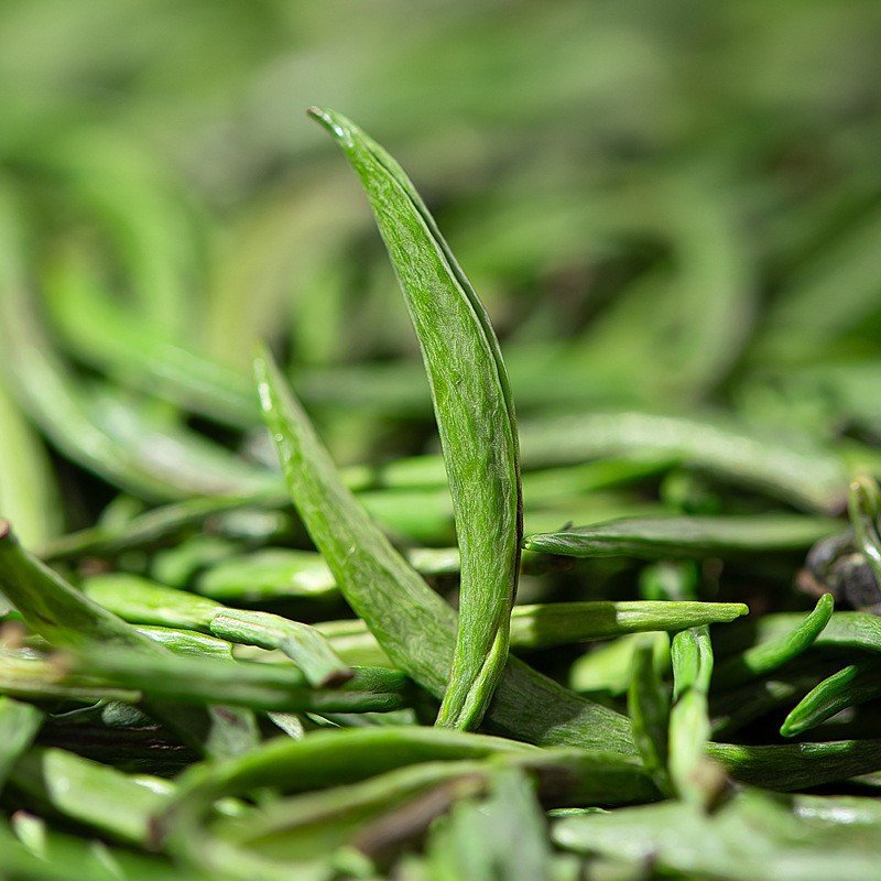 slimming tea manufacturer detox fast slimming green tea slimming tea
