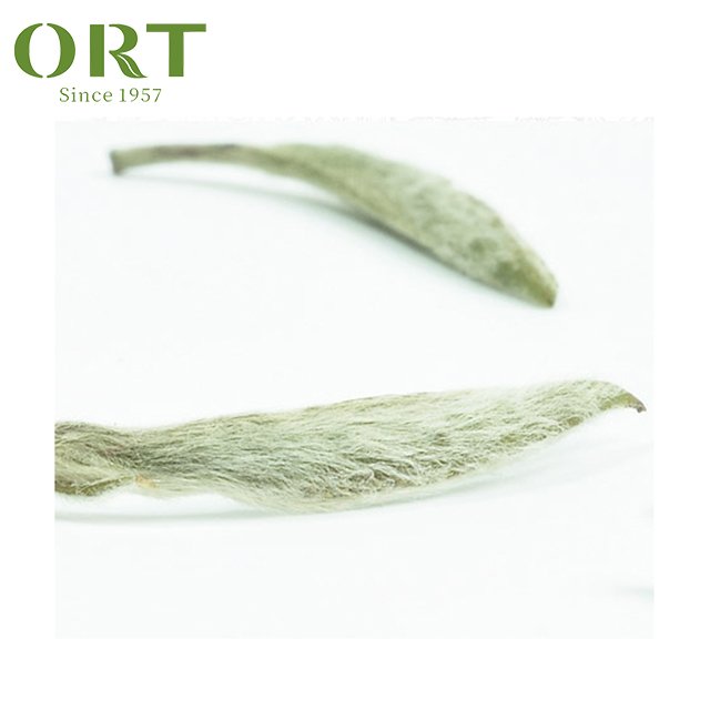 Organic Spring Fuding Silver Needle Bai Hao Yin Zhen Loose Leaf White Tea