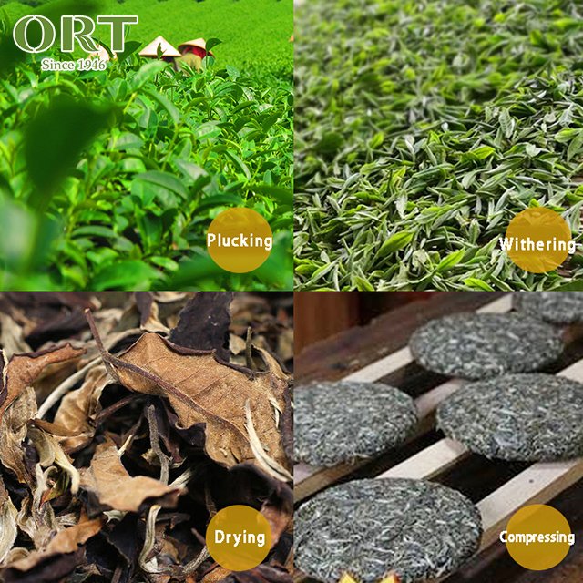 Factory Wholesale 10 Years Compressed Lao Bai Cha Aged White Tea Cake 357g Packaging Customization