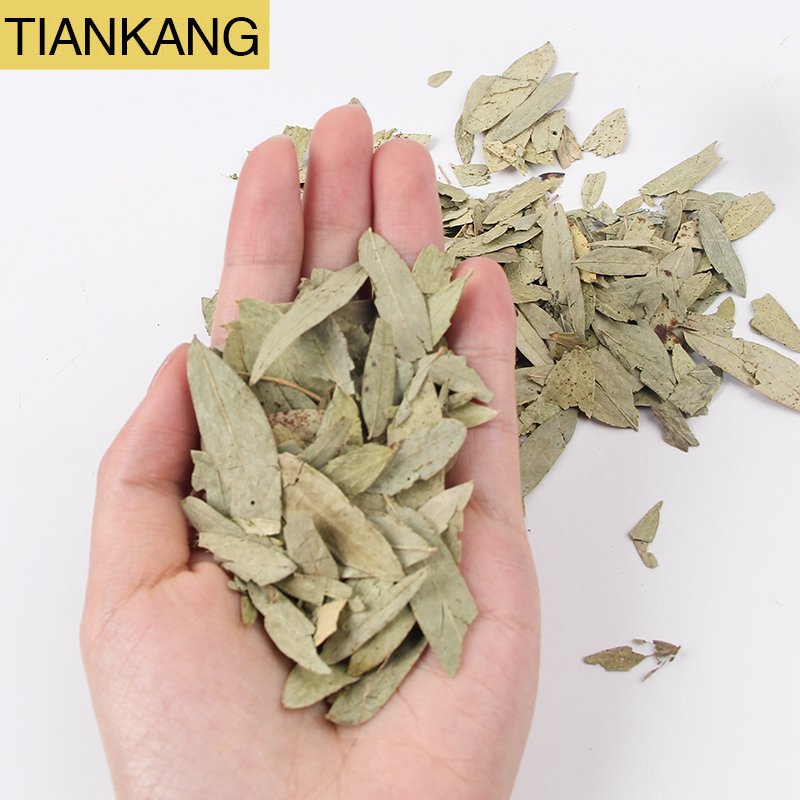 100% Natural Factory Supply Slimming Detox Herbal Natural Dried Senna Leaves Herbs Lose Weight Extract Tea for Constipation