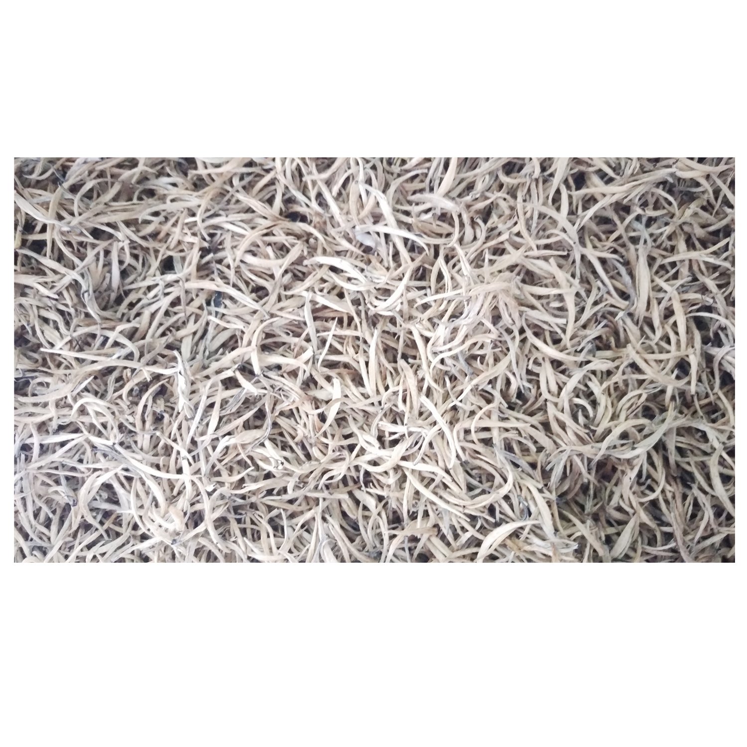 Ceylon Factory-Fresh Hand-Made Silver Tips White Tea Loose Slimming Tea from Sri Lanka Packed in Box and Bottle for Bulk Sale