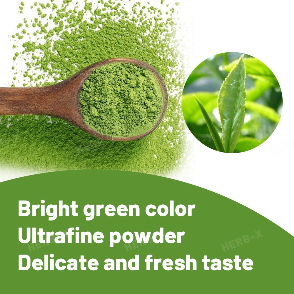 Wholesale Organic Matcha Powder Matcha Green Tea