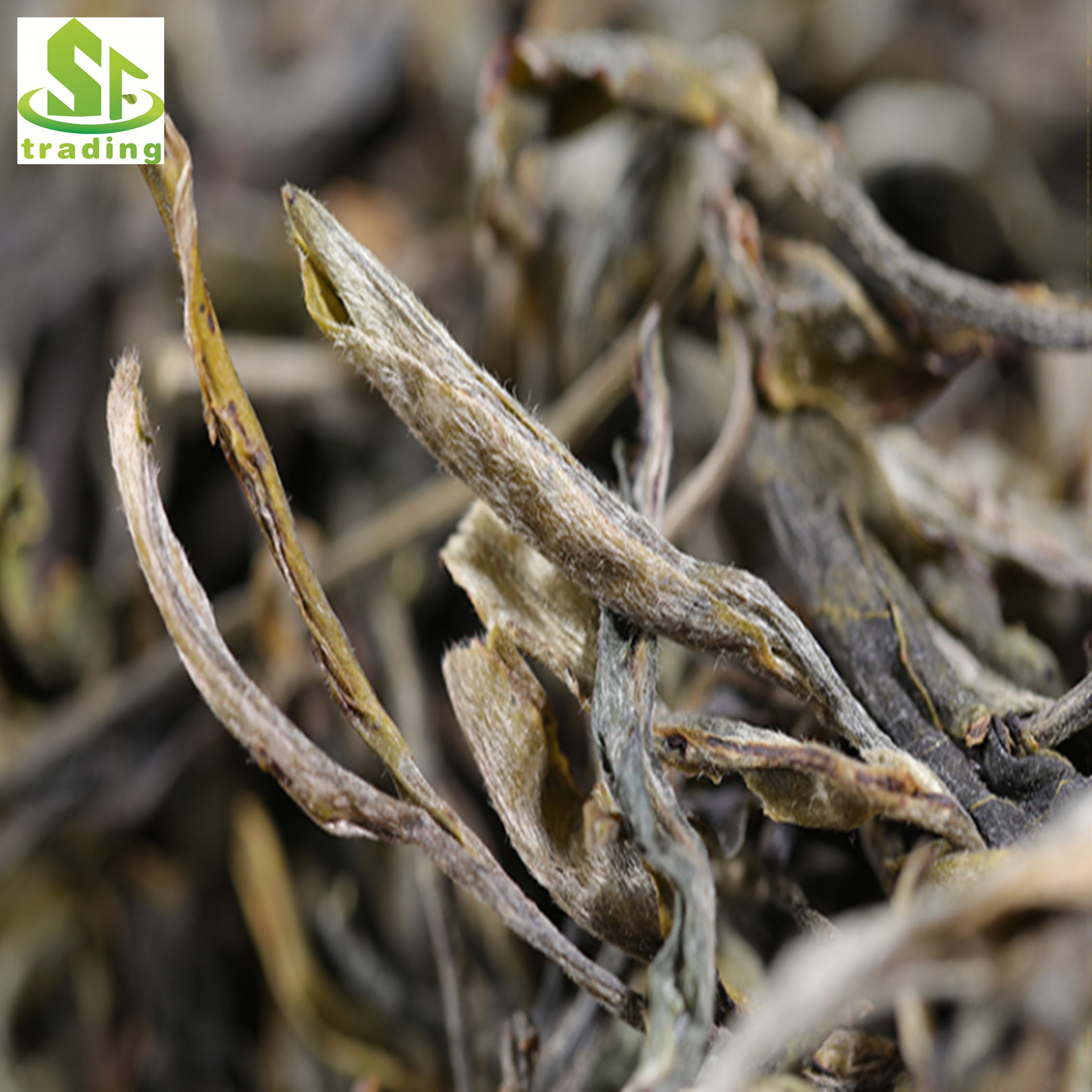 Chinese Top Grade Unfermented Puer Loose Tea Puer Raw Tea Slimming Tea