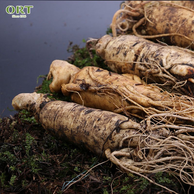 American ginseng gift box high quality authentic American ginseng powder