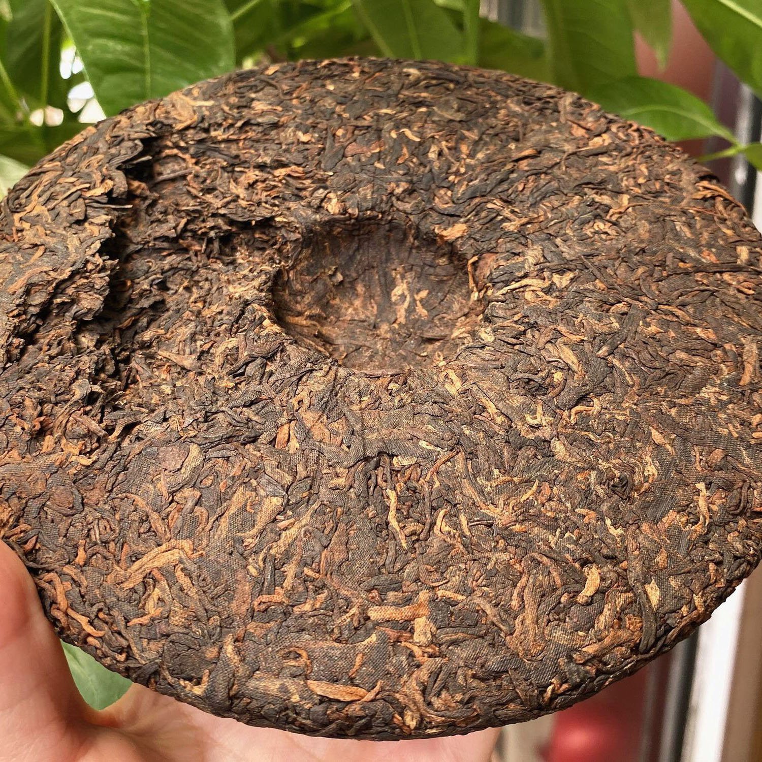 Chinese famous Yunnan shu puer Banzhang golden buds 357 gram fermented puerh tea cake Yunnan qi zi bing cha