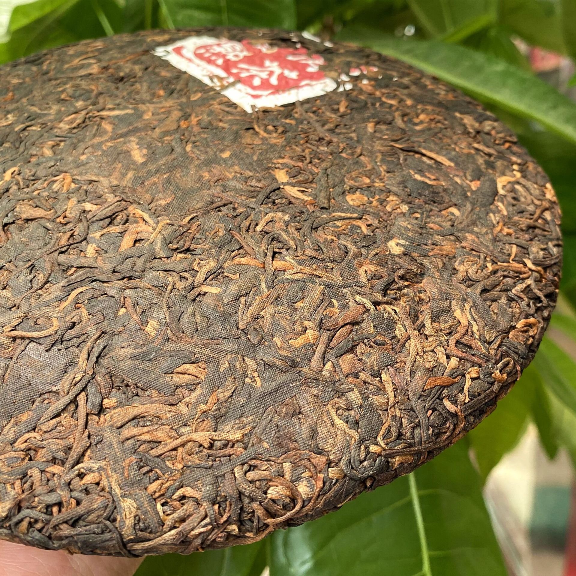 Chinese famous Yunnan shu puer Banzhang golden buds 357 gram fermented puerh tea cake Yunnan qi zi bing cha
