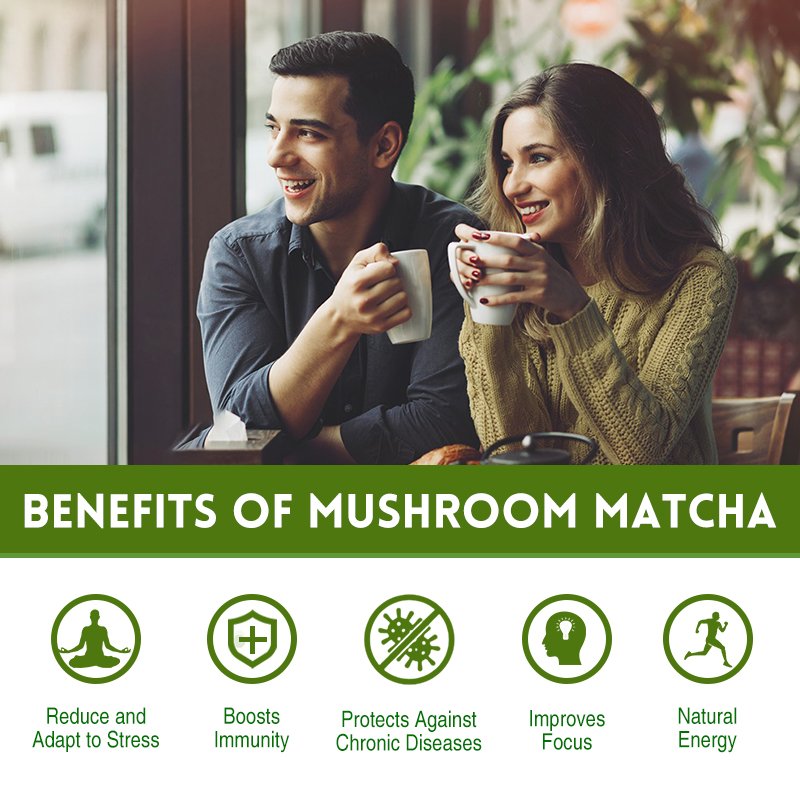 Custom Superfood Organic Ceremonial Grade Matcha Ashwagandha Mushroom Matcha Powder