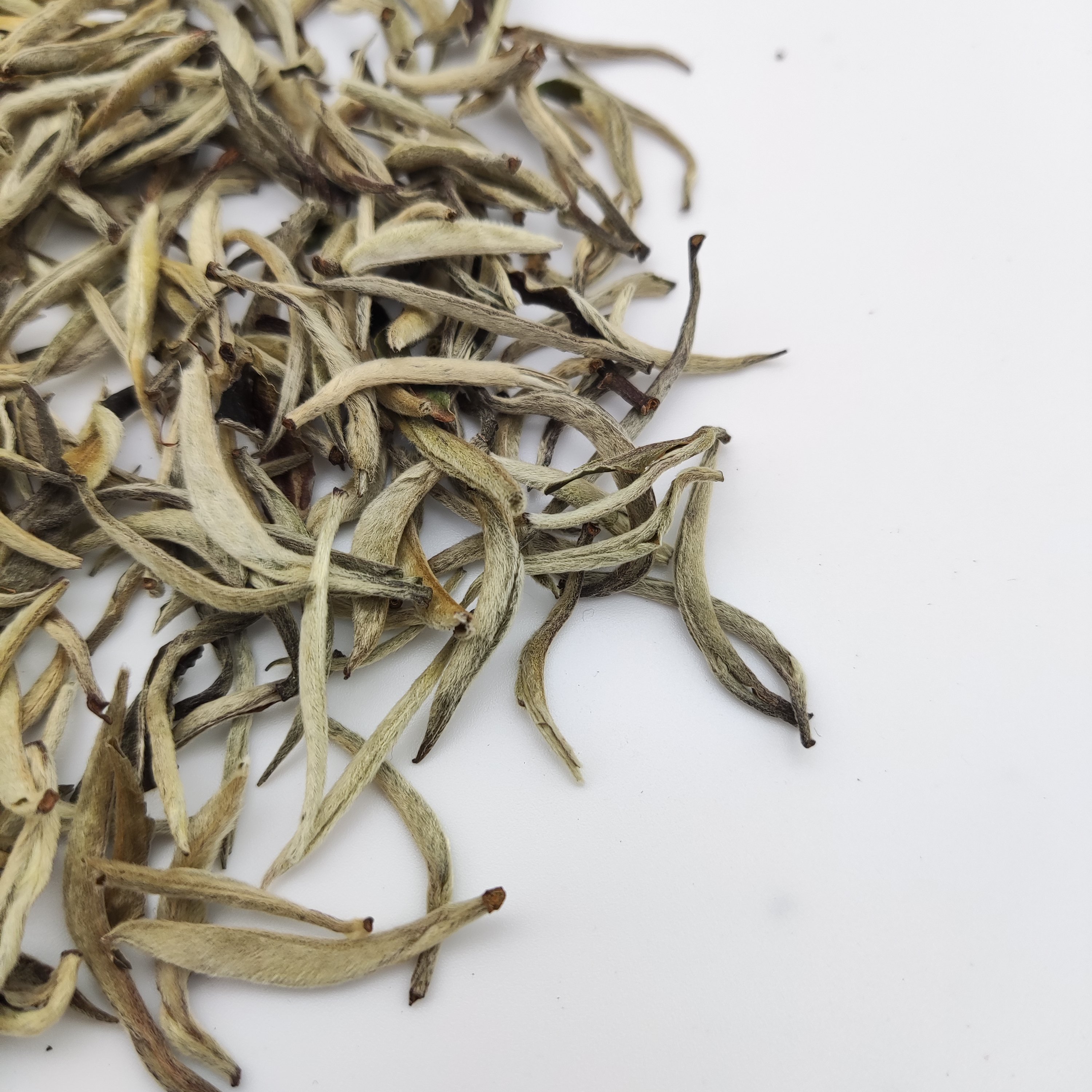 Pravite Label Famous Chinese EU Standard Bai Hao Yin Zhen White Tea Silver Needle White Tea