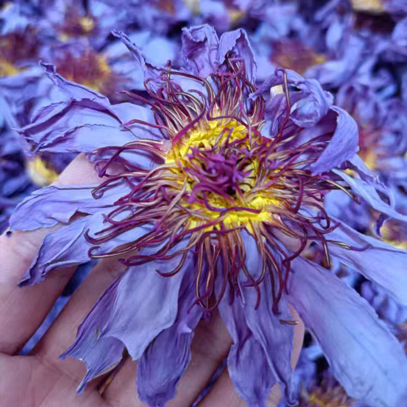 100% natural organic Blue Lotus Loose Flower Tea individual small package selected Blue Lotus