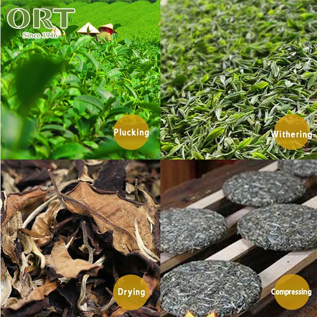 Factory Wholesale Fujian Fuding Organic Compressed Yinzhen Baihao Yinzhen White Tea Packaging Customization
