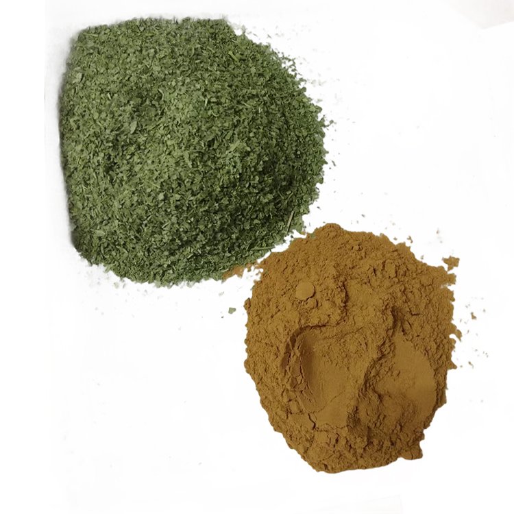 Factory Direct Customized Organic Oolong Mint & Berberine Tea Bags Slimming Flavor Health Tea With Ginseng Box Packaging