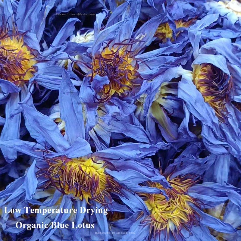 EU Food Compliance 0.5KG/Bag Organic Bulk Blue Lotus Flowers Egyptian Relaxing Nymphaea Caerulea Herb Tea Healthy Natural Iegal