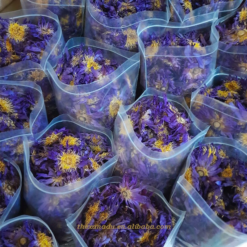 EU Food Compliance 0.5KG/Bag Organic Bulk Blue Lotus Flowers Egyptian Relaxing Nymphaea Caerulea Herb Tea Healthy Natural Iegal