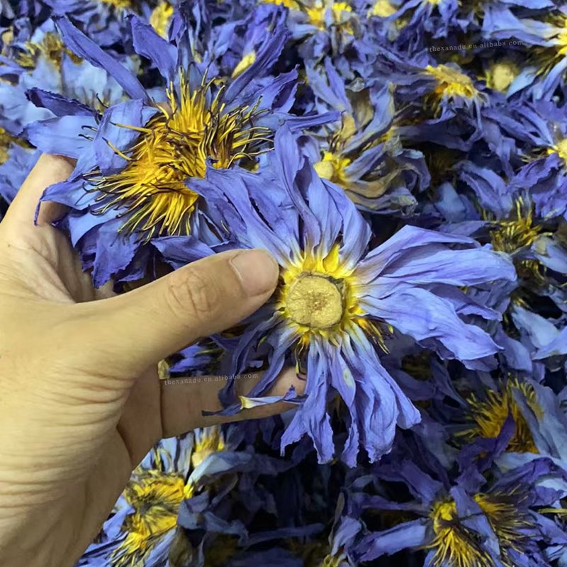 EU Food Compliance 0.5KG/Bag Organic Bulk Blue Lotus Flowers Egyptian Relaxing Nymphaea Caerulea Herb Tea Healthy Natural Iegal