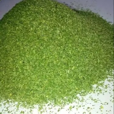 Moringa Oleifera (Moringa TBC) Herbal Aromatic Agriculture Product Raw Processing Item For Human Consumption Hot Selling In Bulk