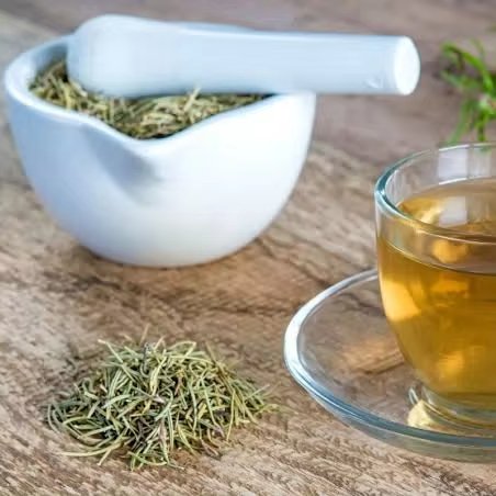 Rosmarinus Officinalis (Rosemary TBC) Herbal Aromatic Agriculture Product Raw Processing For Human Consumption Bulk Hot Selling