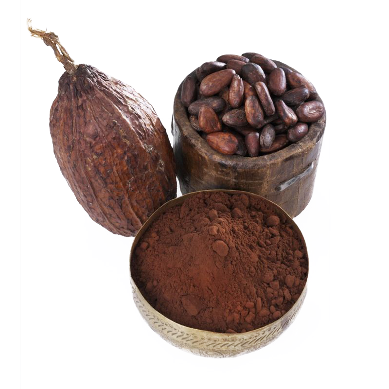 LIFEWORTH instant hot chocolate cocoa powder
