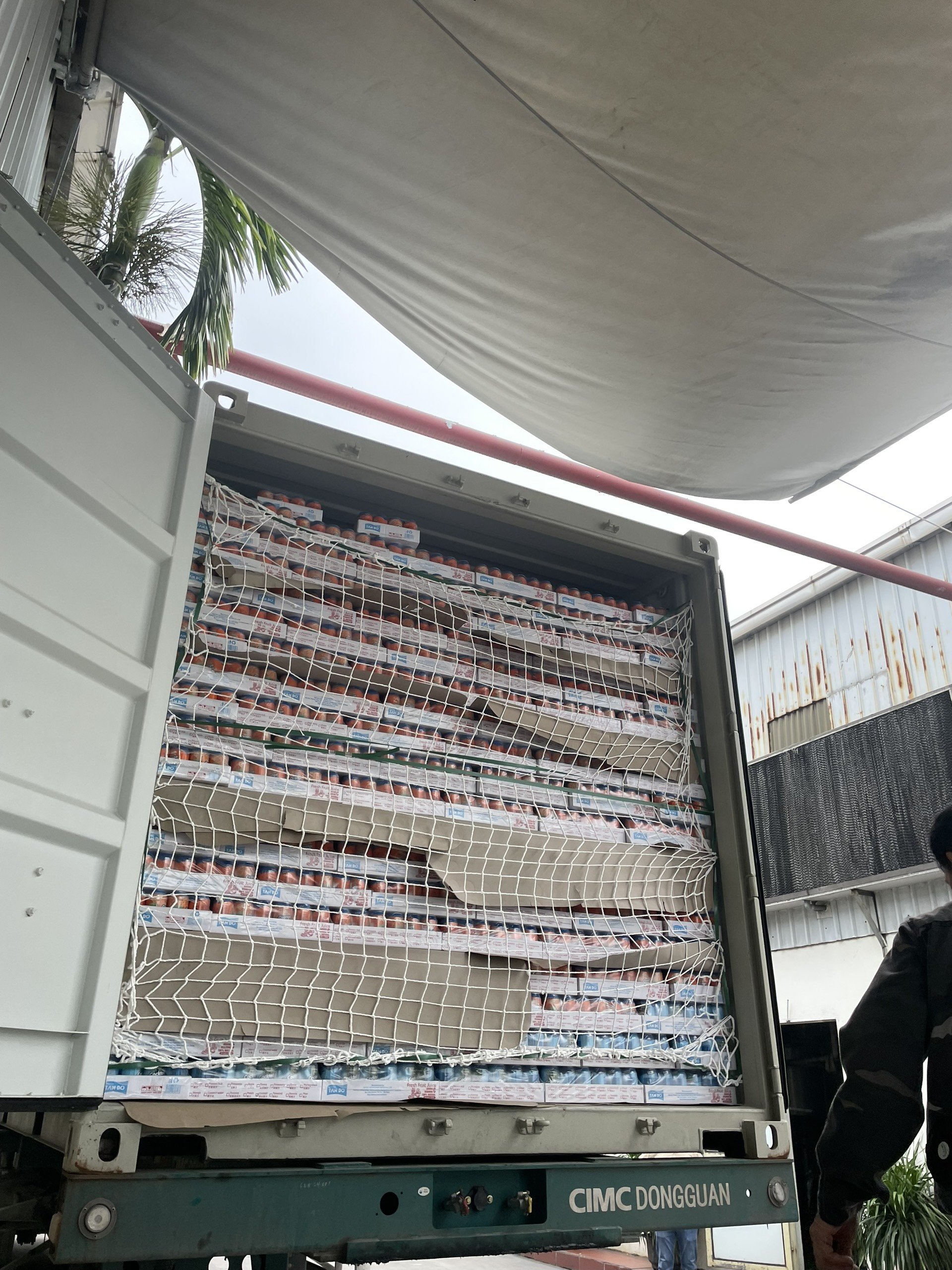 250ml coconut milk OEM Tan Do Beverage Vietnam Manufacture Competitive Price