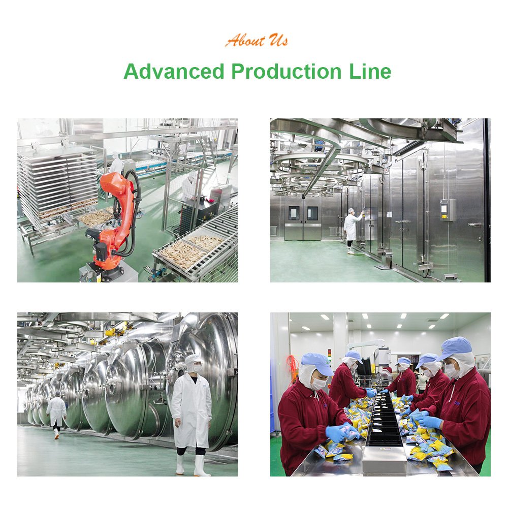 Wholesale New Materials Freeze dried Chocolate Covered fruit New Arrivals Freeze dried Chocolate Covered fruit