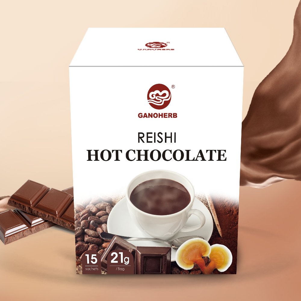 Wholesale CHinaHerbal Mushroom instant Coffee with Hot chocolate mushroom coffees with Reishi mushroom ganoderma extract powder