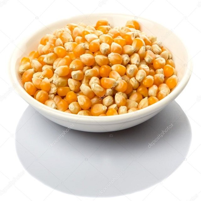 Animal Feed Yellow Maize / Corn Animal Feed dried corns for human food Wholesale available