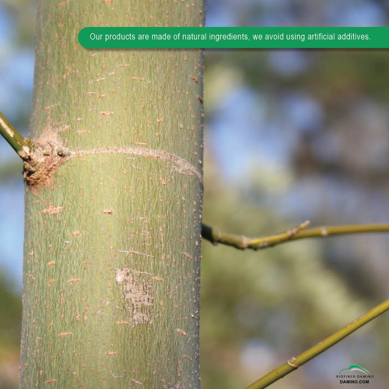 Tandemate Complementary Complementary Feed from Willow Extract Fiber & Yeast Stabilizes Digestion during Weaning Period 15kg