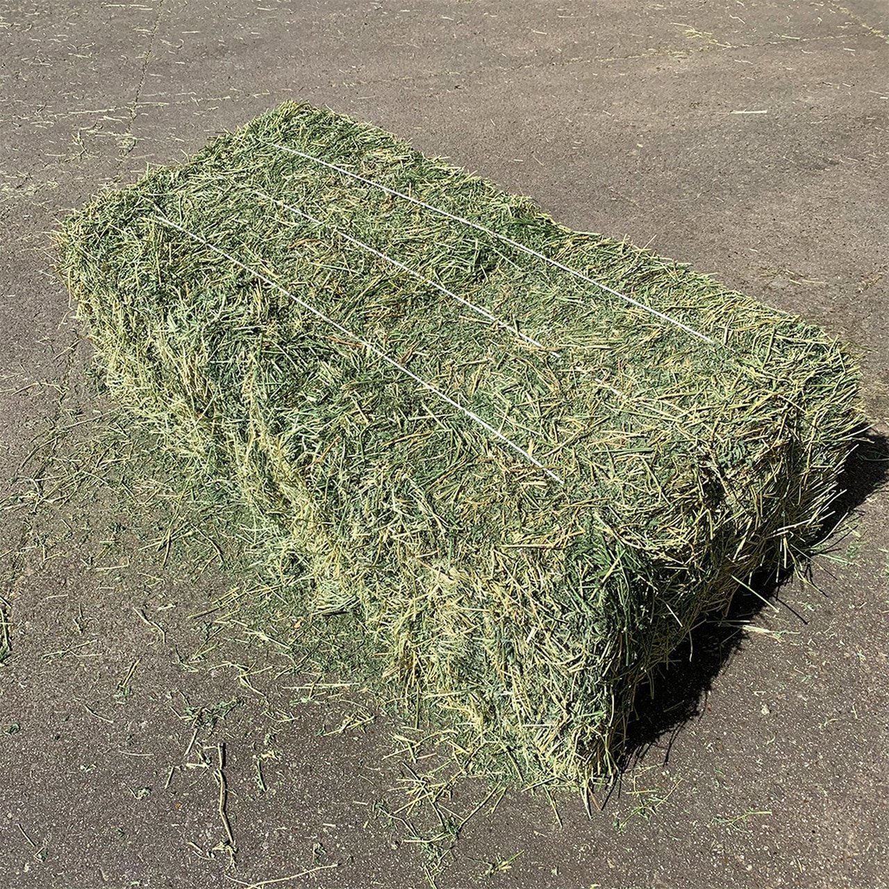 Alfafa Hay Feed/ Best Alfalfa For Sale Alfafa Hay Animal Feeding Stuff Alfalfa, hay/alfalfa hay Top Quality Alfafa Hay Animal