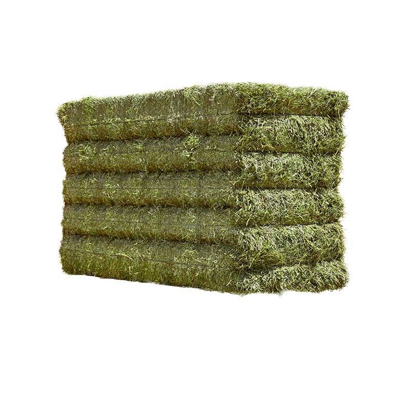 Alfafa Hay Feed/ Best Alfalfa For Sale Alfafa Hay Animal Feeding Stuff Alfalfa, hay/alfalfa hay Top Quality Alfafa Hay Animal