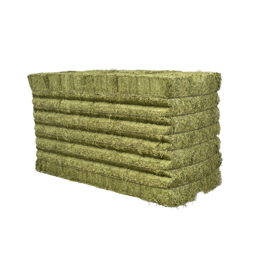 Alfafa Hay Feed/ Best Alfalfa For Sale Alfafa Hay Animal Feeding Stuff Alfalfa, hay/alfalfa hay Top Quality Alfafa Hay Animal