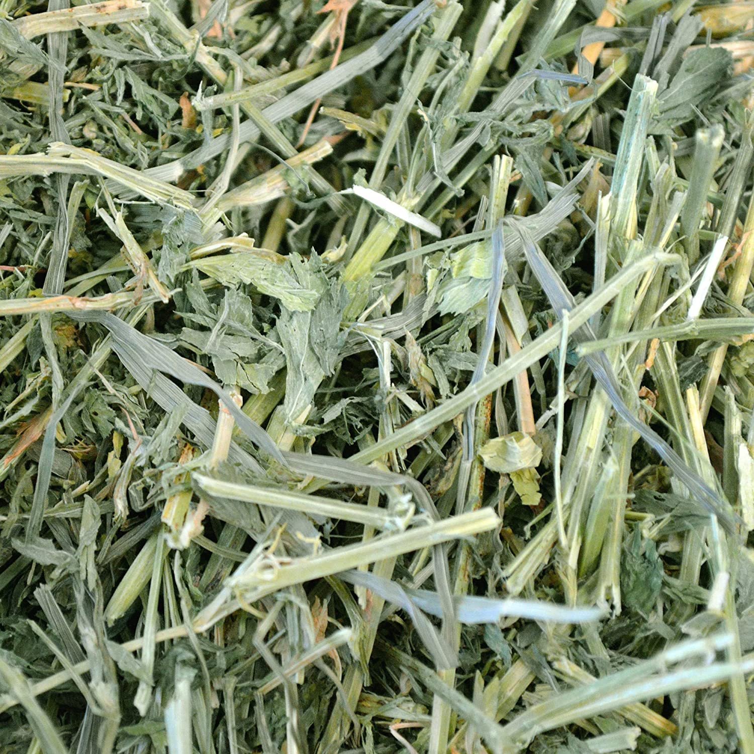 Alfafa Hay Feed/ Best Alfalfa For Sale Alfafa Hay Animal Feeding Stuff Alfalfa, hay/alfalfa hay Top Quality Alfafa Hay Animal
