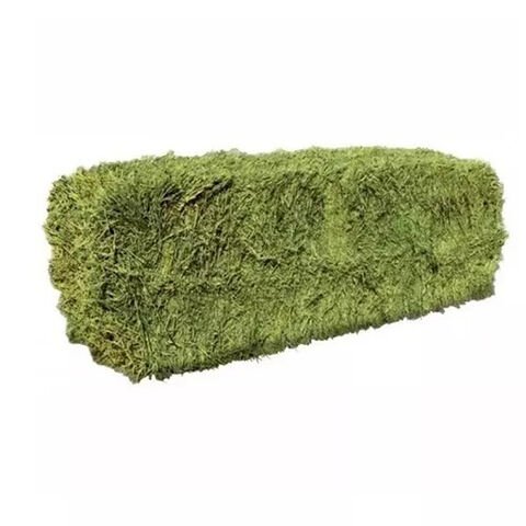 Buy Premium Quality Alfalfa Hay / Timothy Hay, At Low Price / Cheap Top Quality Alfalfa Hay for Animal Feeding