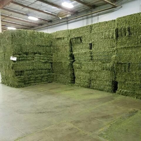 Buy Premium Quality Alfalfa Hay / Timothy Hay, At Low Price / Cheap Top Quality Alfalfa Hay for Animal Feeding
