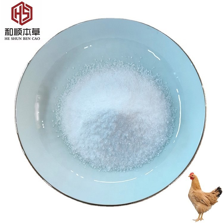 Wholesale animals feed additives 95% bile acids for layer and broiler to promote Nutrition poultry feed additives