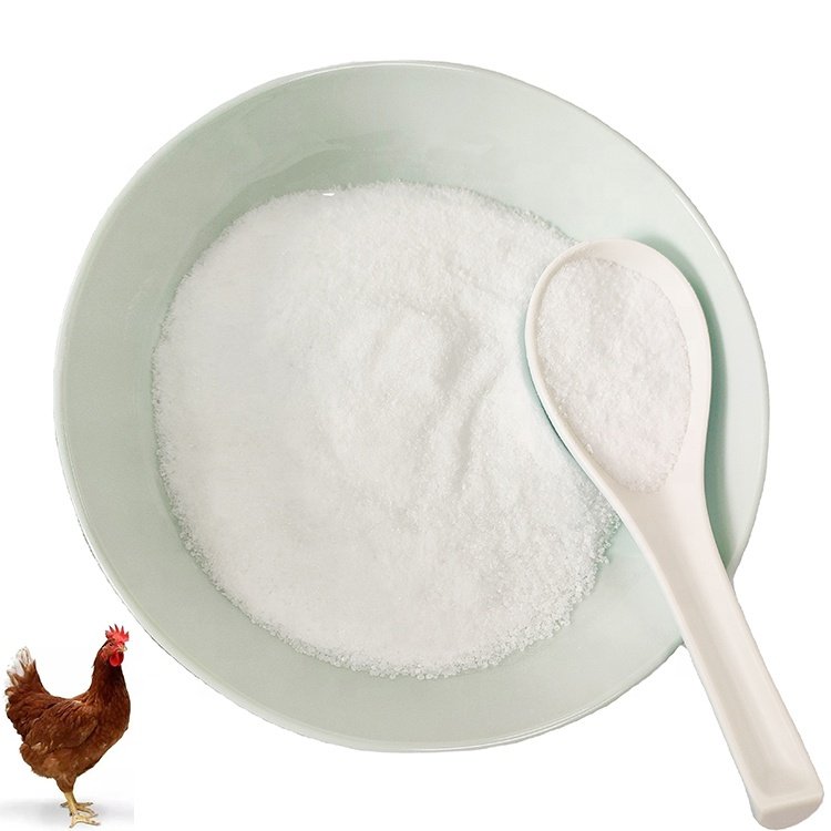 Wholesale animals feed additives 95% bile acids for layer and broiler to promote Nutrition poultry feed additives