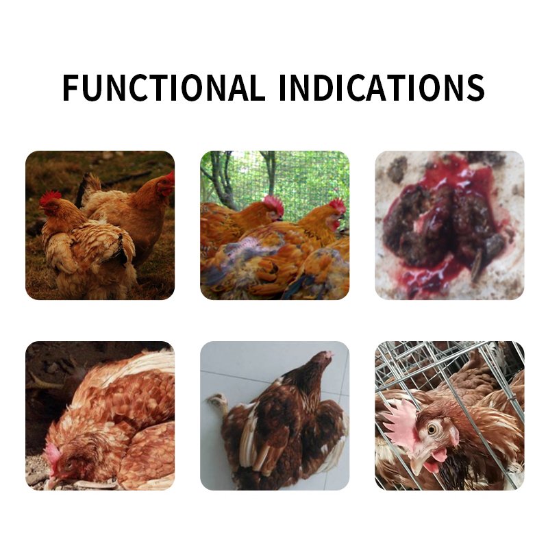 Used as a feed additive for treating small intestinal coccidiosis and cecal coccidiosis in poultry,